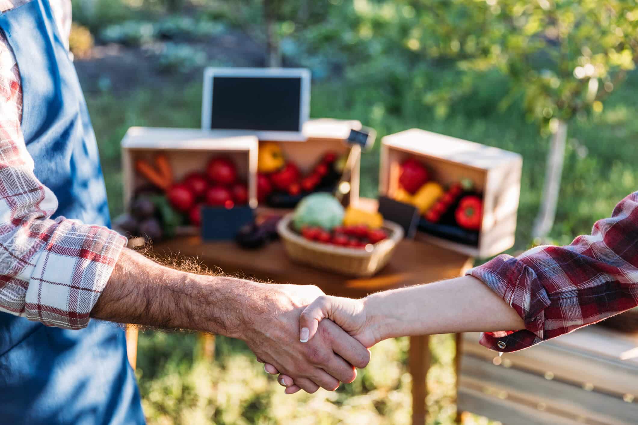 fazendeiros apertando as mãos com frutas no fundo