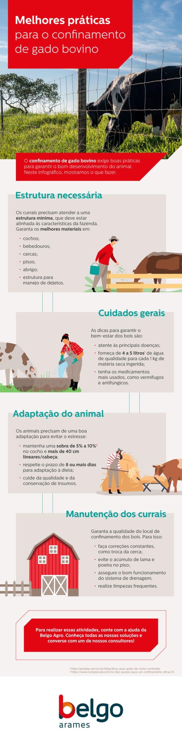 infográfico: melhores práticas para o confinamento de gado bovino