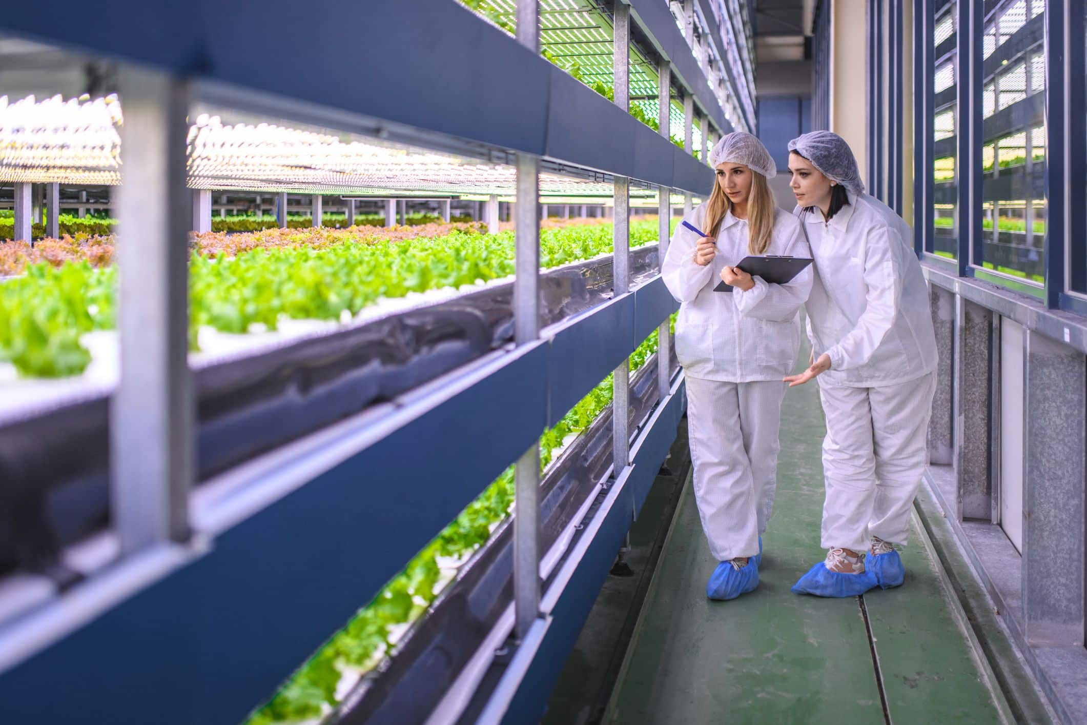 duas especialistas em agricultura indoor