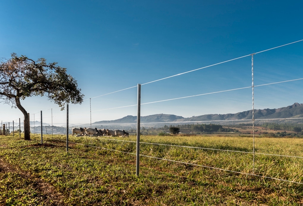 cerca de arame circundando pasto