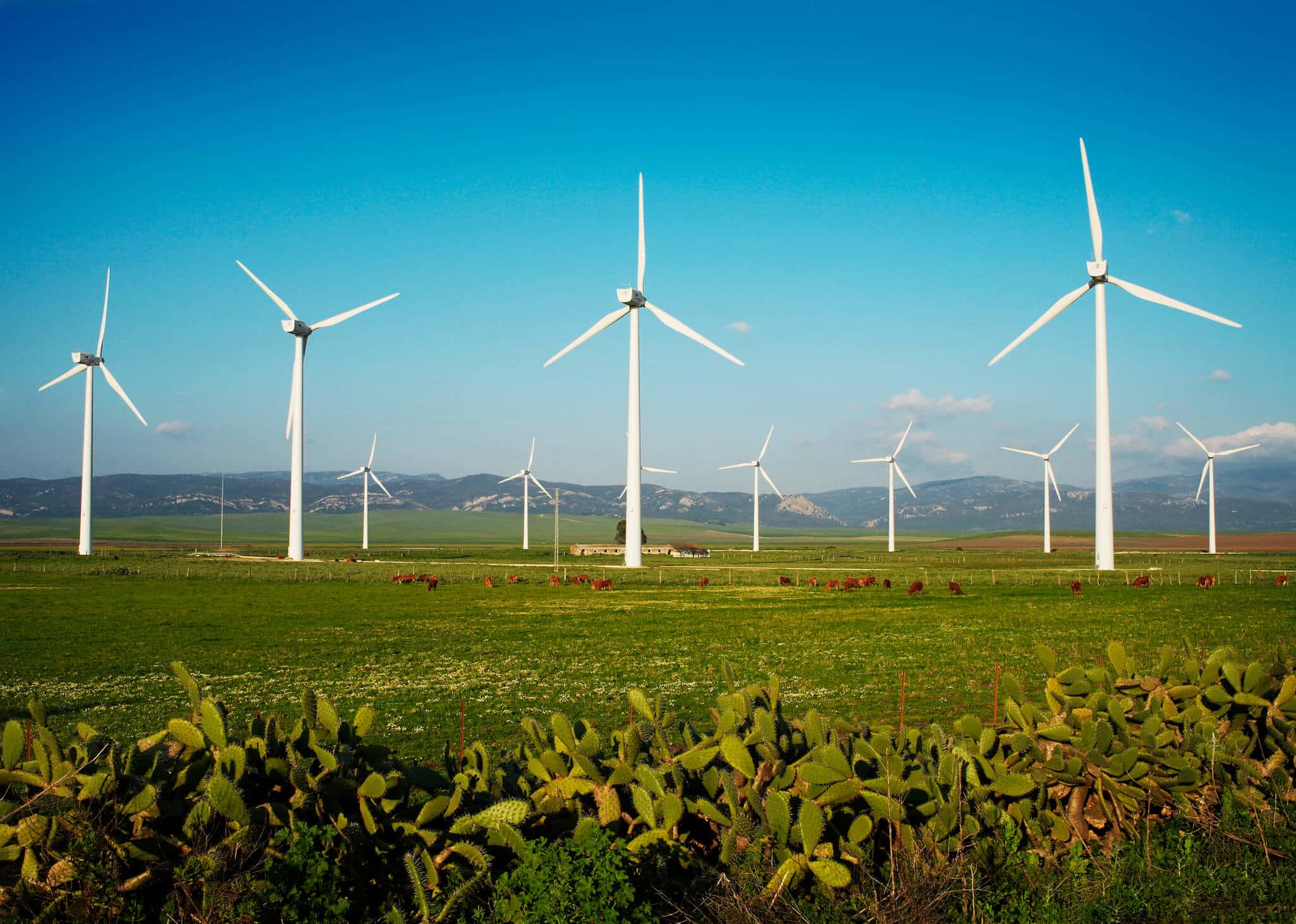 Gerador turbina de energia eólica