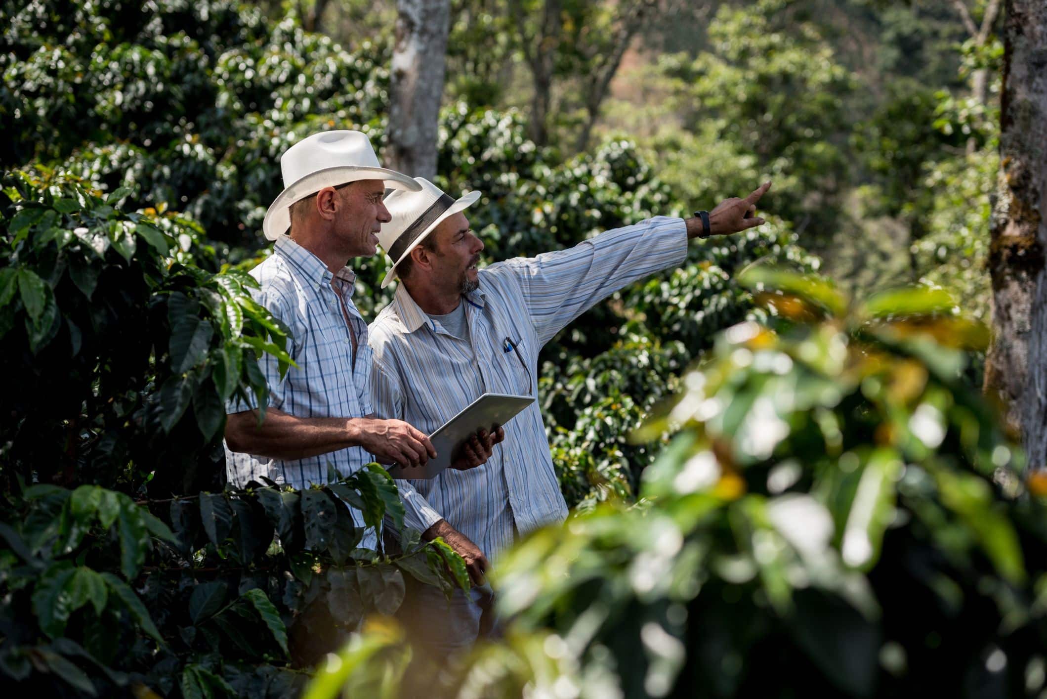 dois agropecuários criando estratégias no campo